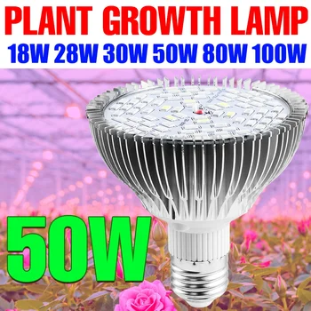 E27 Светодиодная лампа для выращивания растений с полным спектром света для роста растений E14 Фитолампа для теплицы, фитолампа для растений, лампа для семян комнатных цветов