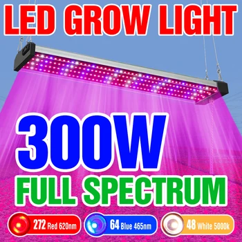Светодиодный светильник для выращивания растений, полный спектр светильников для выращивания комнатных растений, лампа Quantum Board Hidroponia 300 Вт, освещение для зеленого дома 200 Вт